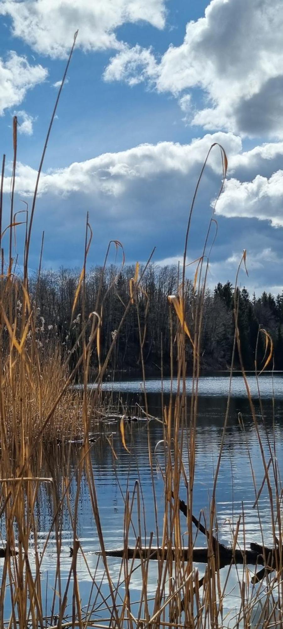 Aparthotel Werdenfels Murnau am Staffelsee Zewnętrze zdjęcie